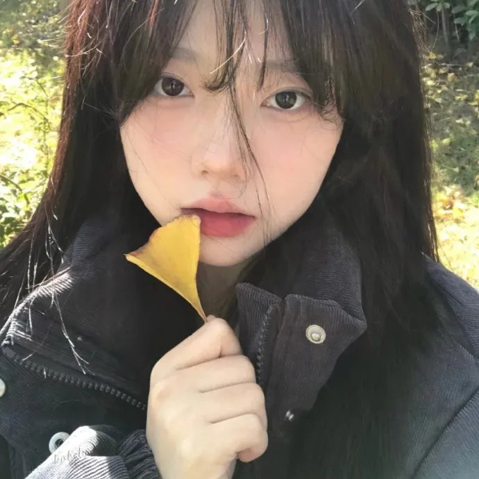 安娜的幻想冒险